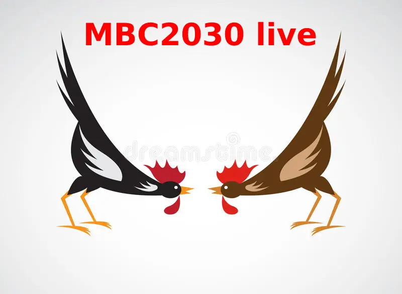 MBC2030 live and Process of MBC2030 live login